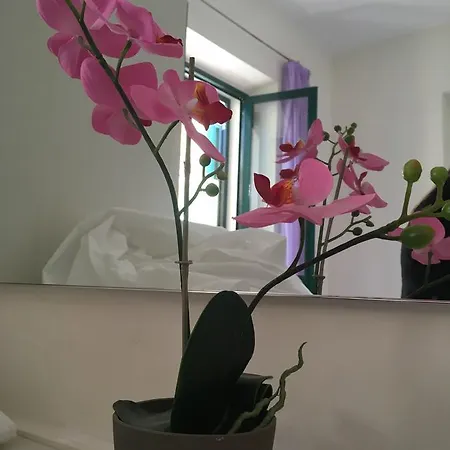 Arco Dei Cappuccini Nocleg ze śniadaniem *